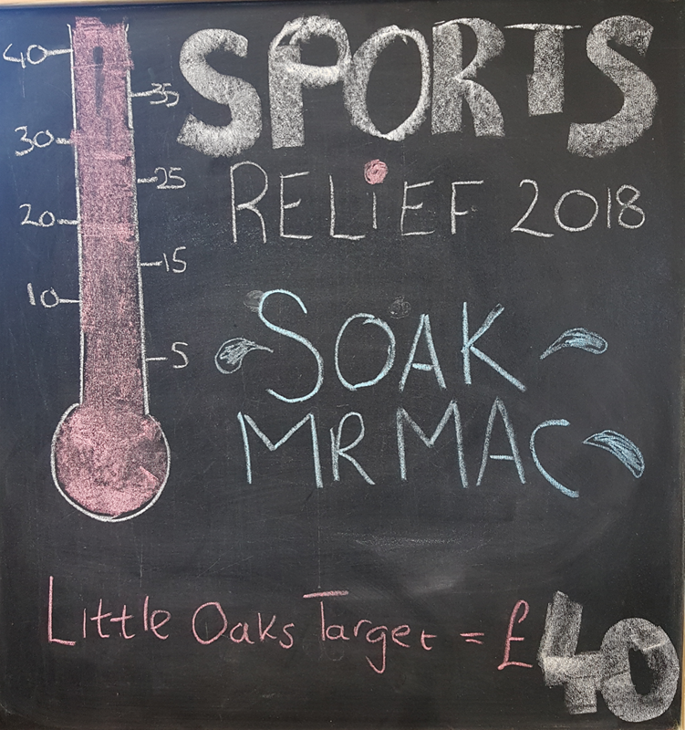 Image of Primary Sport Relief